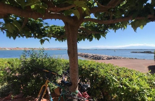 Le Barcares Apartment | T2 cabine 6 pers, piscine, parking, animaux admis - FR-1-81-467