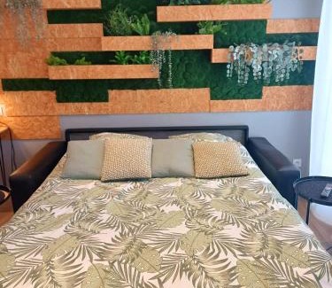 Agen Apartment | T2 l'ovalie, 4pers , 4lits, wifi