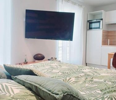 Agen Apartment | T2 l'ovalie, 4pers , 4lits, wifi