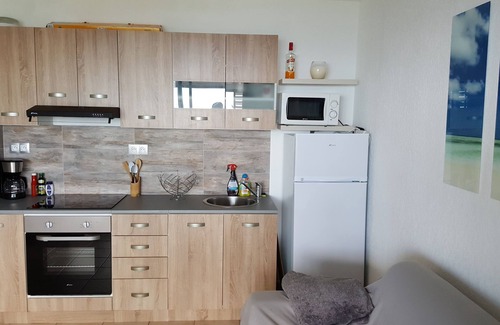 Piton Saint-Leu Apartment | T2 sea view 100% + parking + wifi