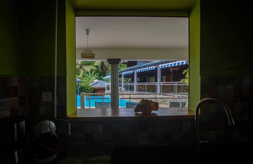 Lamentin House | T3 Alamanda - Super gîte with pool view