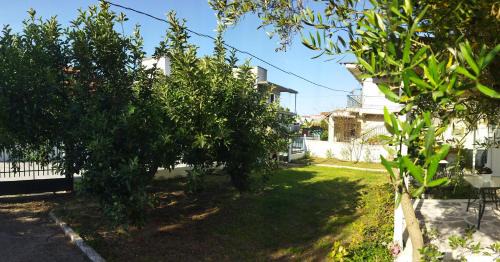 Olympiada Apartment | Ta Spitakia Olympiada