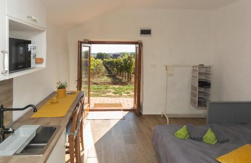 Tagyon Apartment | Tagyon Birtok Tulipános Apartman