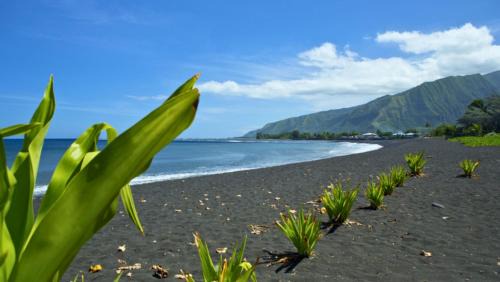 Papara House | TAHITI - Bungalow Taharuu Surf Hoe