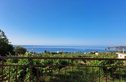 Pylos-Nestoras House | TAKIS BIZOS House 1