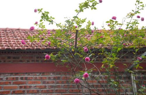 Hoa Lu Apartment | tam coc ngo dong homstay