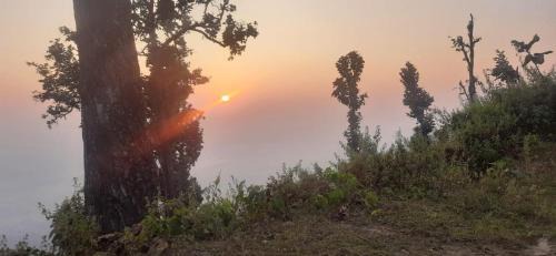 Nepal House | Tamang Homestay in Parewakot Chitwan -Chitwan Nagarkot