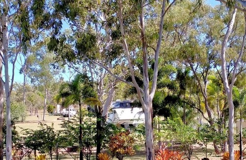 Almaden Other | Tamarind Gardens Camping, Caravans, Accommodation