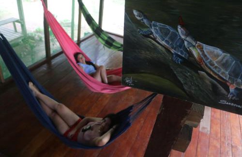 Tambopata Other | tambobopata green