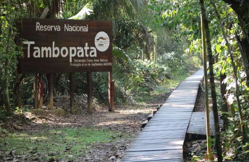 Tambopata Other | tambobopata green