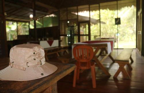 Tambopata Other | tambobopata green