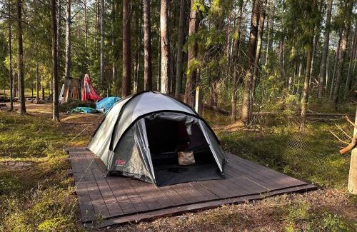 Kuusalu Parish Other | Tammispea puhkeküla