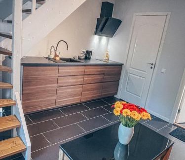 Voru Apartment | Tamula loftid