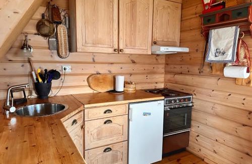 Rustefjelbma House | Tana Panorama - Ávskár Cabin