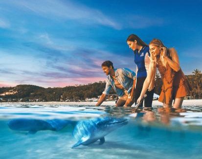 Brisbane Waterfront Resort | Tangalooma Island Resort