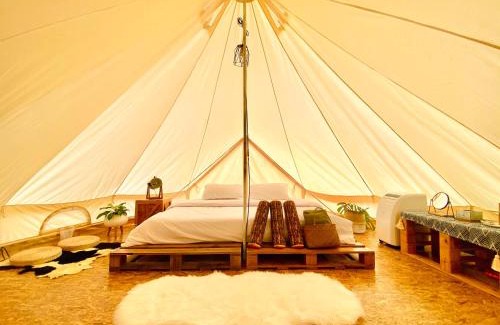 Khlong Sok Other | Tanoshi Glamping In Khao Sok