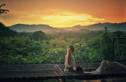 Khlong Sok Other | Tanoshi Glamping In Khao Sok