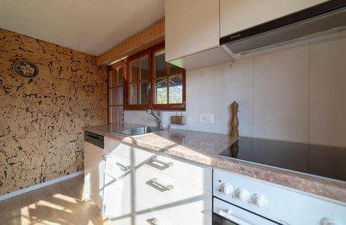 Wildhaus Ski Chalet | Tanzhaus 5-room holiday home with mountain view