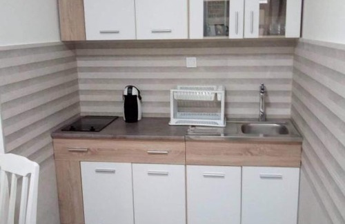 Golubovina House | Tara Deluxe Apartment