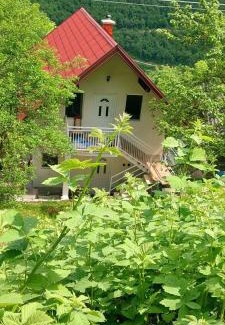 Pluzine House | TARA RIVER HOUSE