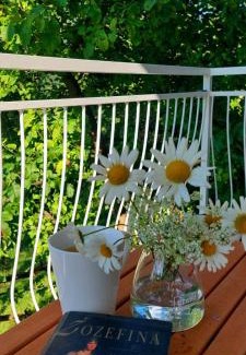 Pluzine House | TARA RIVER HOUSE