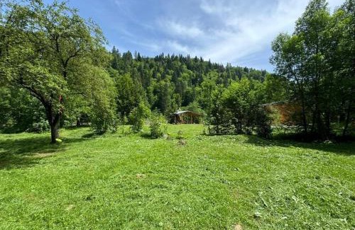 Tarcau House | Tarcau Kub