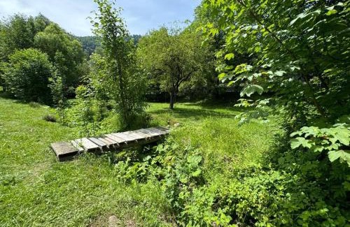 Tarcau House | Tarcau Kub