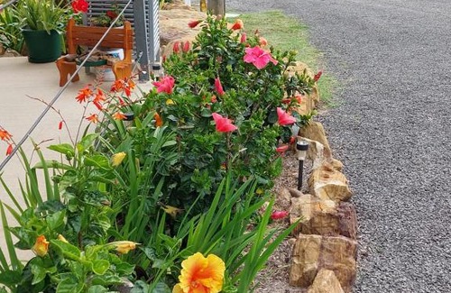 Taroom Resort | Taroom Caravan & Tourist Park