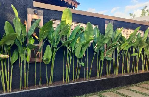 Denpasar Utara Cabin | Taruchi 2 Bedrooms with Garden View