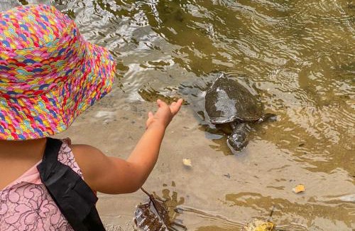 Brinsmead Other | Tasman Holiday Parks - Cairns Cool Waters