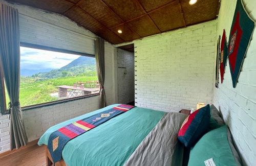 Sa Pa House | Tavan Paddy Field Homestay