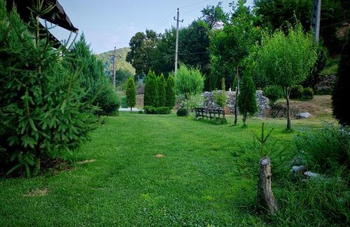 Izvoru Barzii Other | Taverna Gradetului