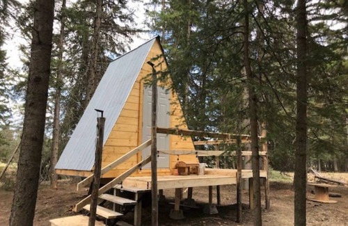 Clearwater County Cabin | Tay River Treehouse nestled on Tay River
