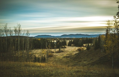 Clearwater County Cabin | Tay River Treehouse nestled on Tay River