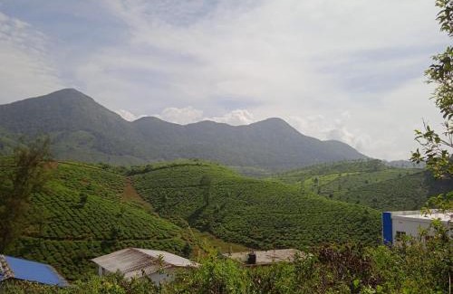 Elappara House | Tea Haven homestay