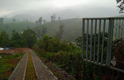 Elappara House | Tea Haven homestay