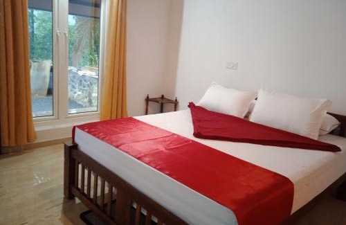 Elappara House | Tea Haven homestay