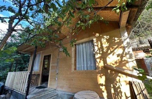 Akhali Ubani Cabin | Temos cottage
