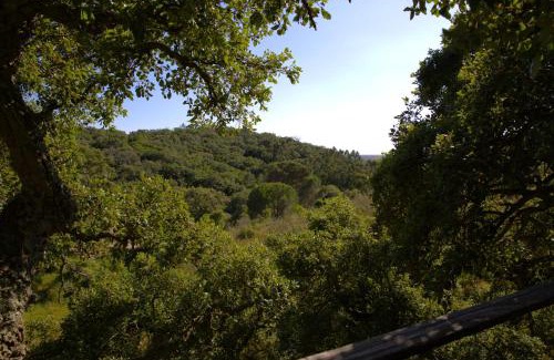 Sao Luis Other | Tent in a Regenerative farm