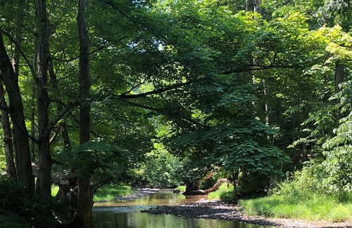 Rosendale RV Rental | Tentrr Signature Site - Mini Yosemite in the Hudson Valley