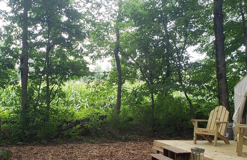 Litchfield RV Rental | Tentrr Signature Site - Meadow Ridge Farm Woods