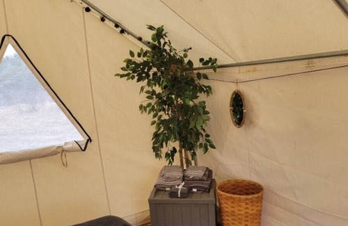 Kempner RV Rental | Tentrr Signature Site - Big Texas Sky Campsite with ac/heat and WIFI