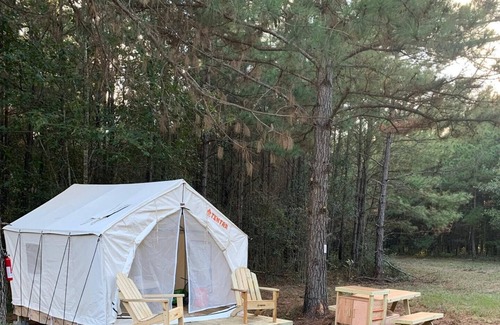 Pennington RV Rental | Tentrr Signature Site - HFR Campsite in the Davey Crockett National Forest #1