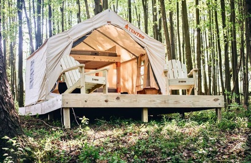 Waymart RV Rental | Tentrr Signature Site - Hollow Tree Camp - Coleman Outfitted Site