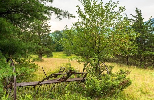 Windham RV Rental | Tentrr Signature Site - Pleasant Valley Maplecroft Camp