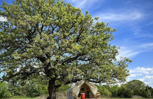 Lincoln County RV Rental | Tentrr Signature Site - The Three Oaks Campsite