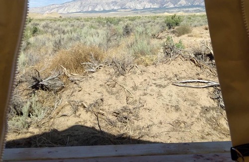 Dinosaur RV Rental | Tentrr Signature Site - The Permaculture Paradise Ranchette