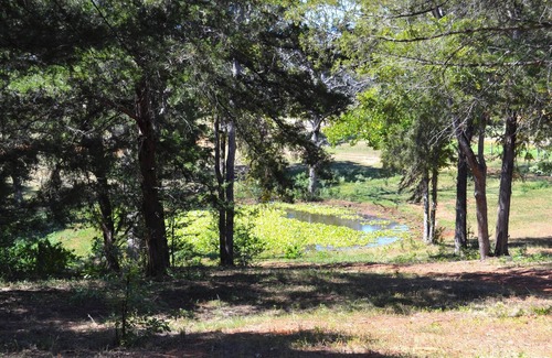 Montalba RV Rental | Tentrr Signature Site - Whispering Oaks Rock Garden