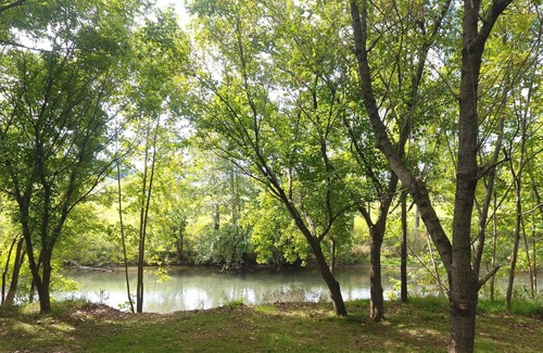 Staunton RV Rental | Tentrr Signature Site - Honeysuckle Hideaway