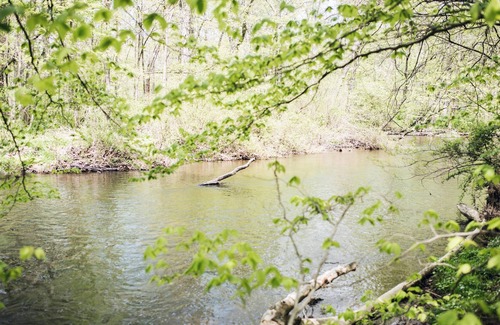 Earlville RV Rental | Tentrr Signature Site - Creekside Woods Getaway